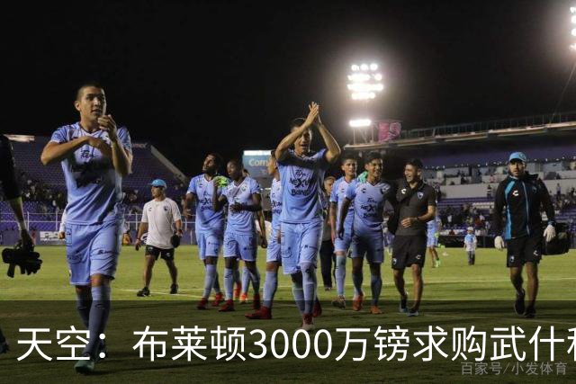 天空：布莱顿3000万镑求购武什科维奇，预计热刺对其估值超6000万
